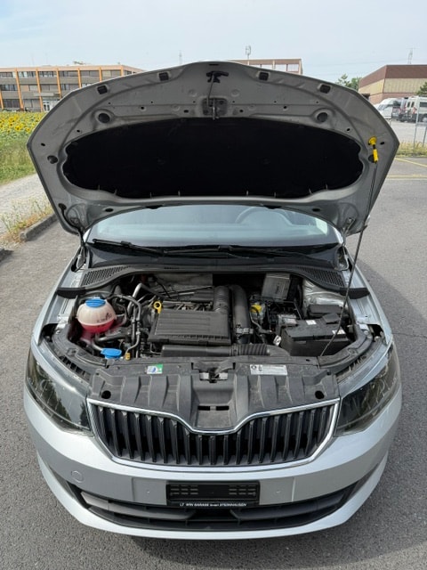 SKODA Fabia 1.2 TSI Swiss Edition DSG-image-6