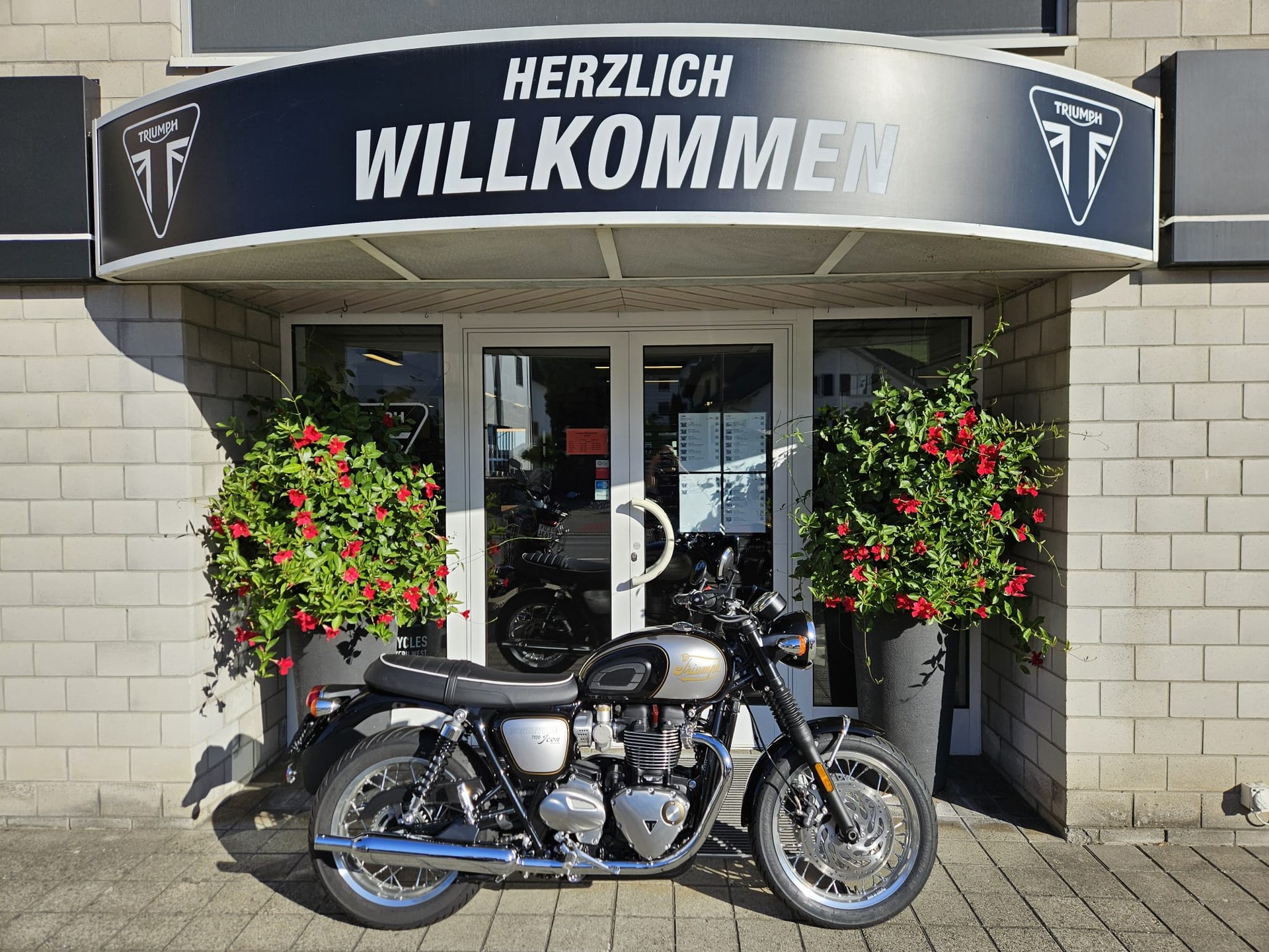 TRIUMPH Bonneville T120