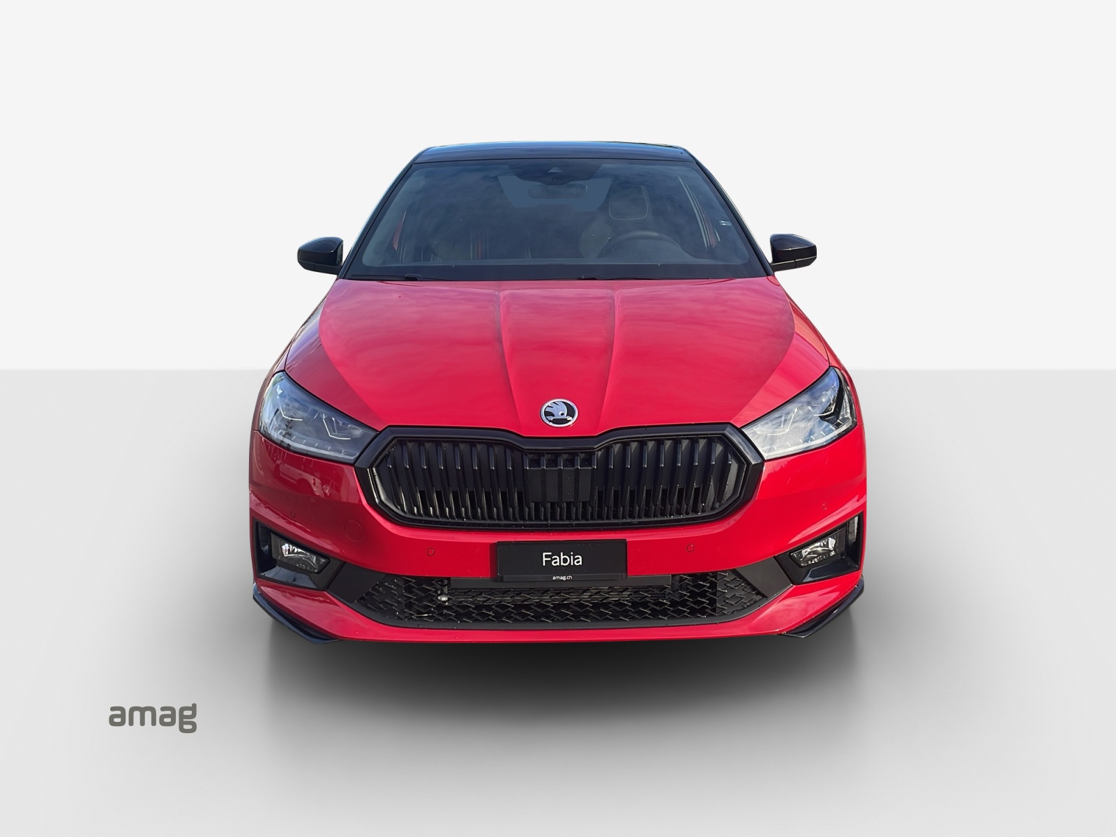 SKODA Fabia 1.0 TSI Monte Carlo DSG-image-6