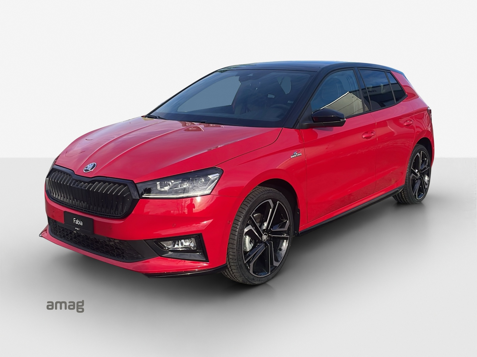 SKODA Fabia 1.0 TSI Monte Carlo DSG-image-0