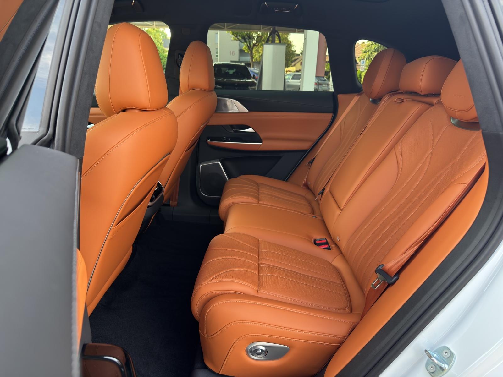 XPENG G9 Performance AWD-image-12