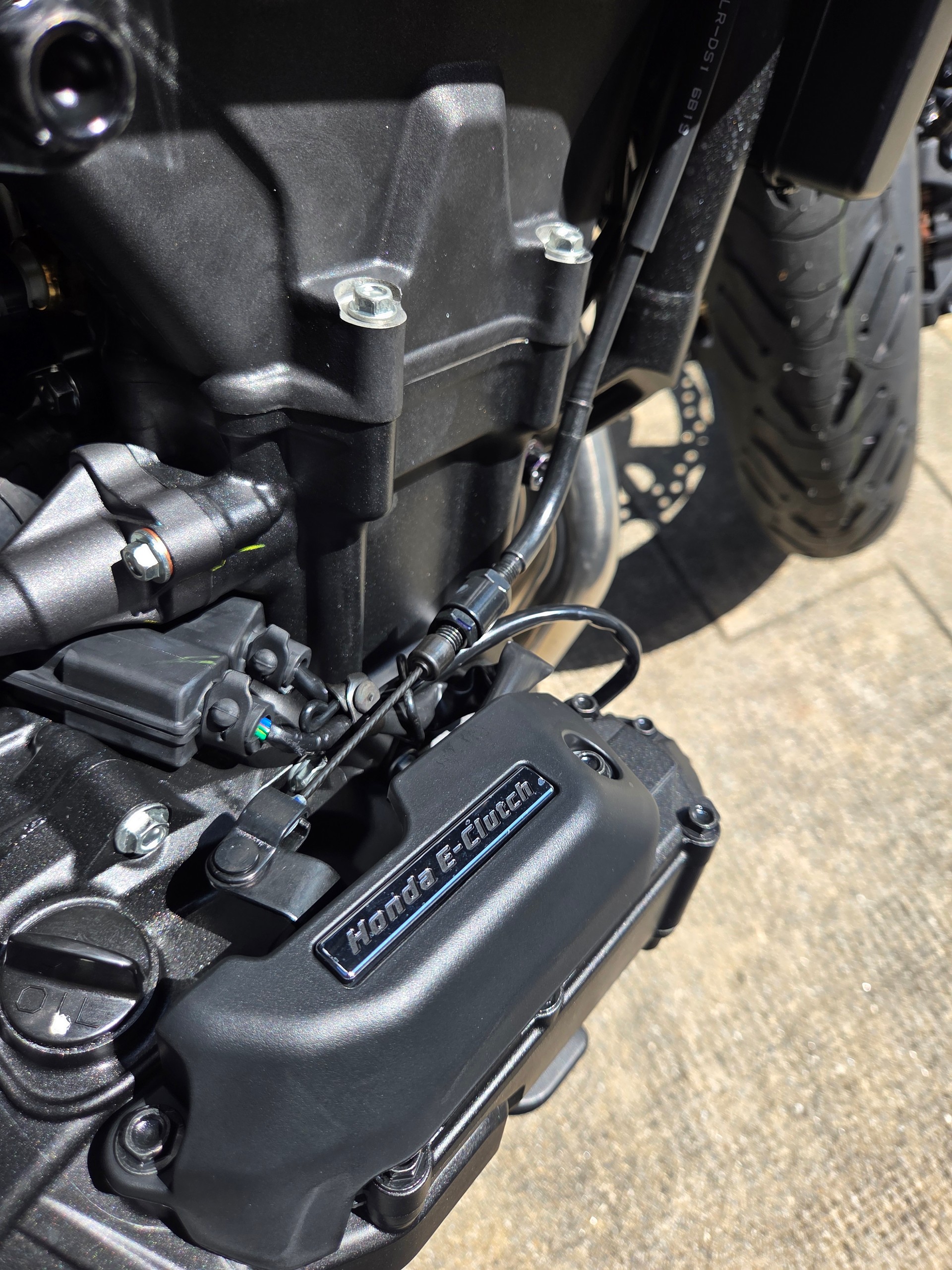HONDA CB 500 Hornet-image-5