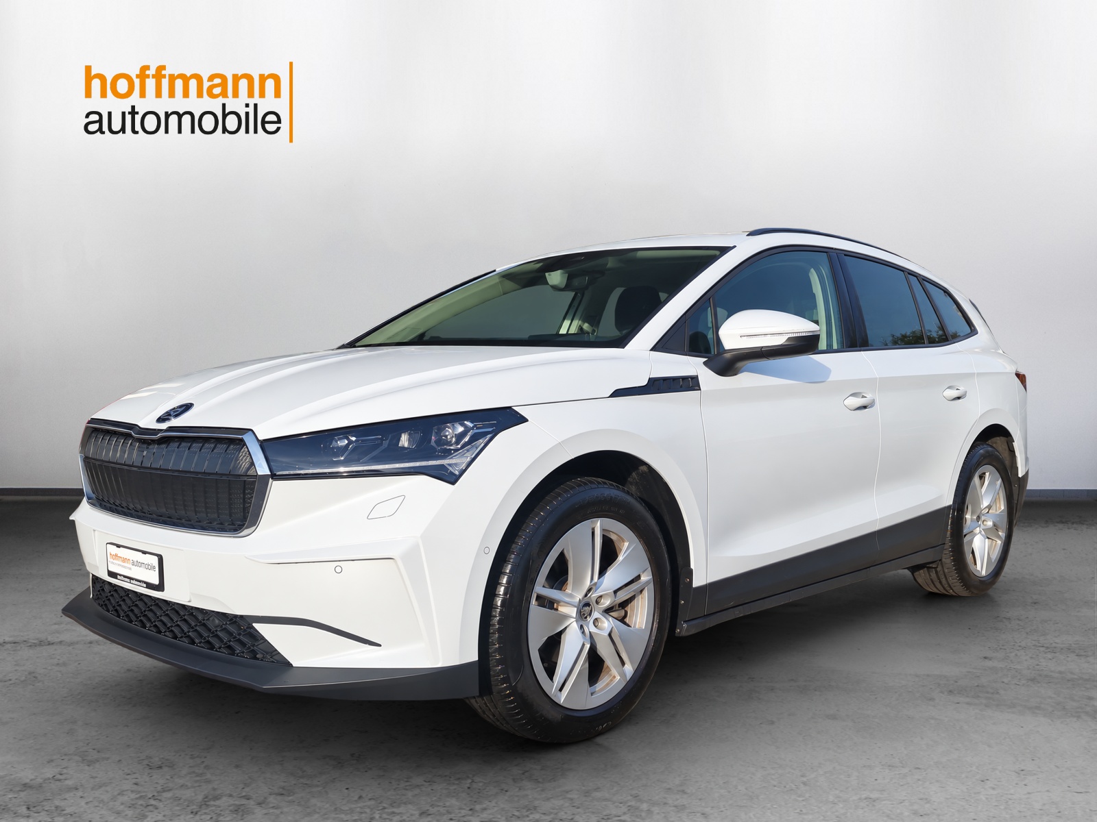 SKODA Enyaq iV 60-image-0