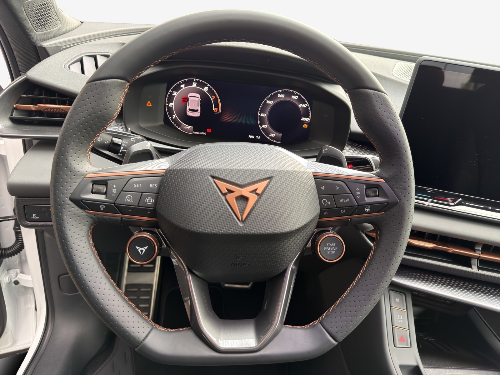 CUPRA Terramar 2.0 TSI DSG 4Drive-image-9