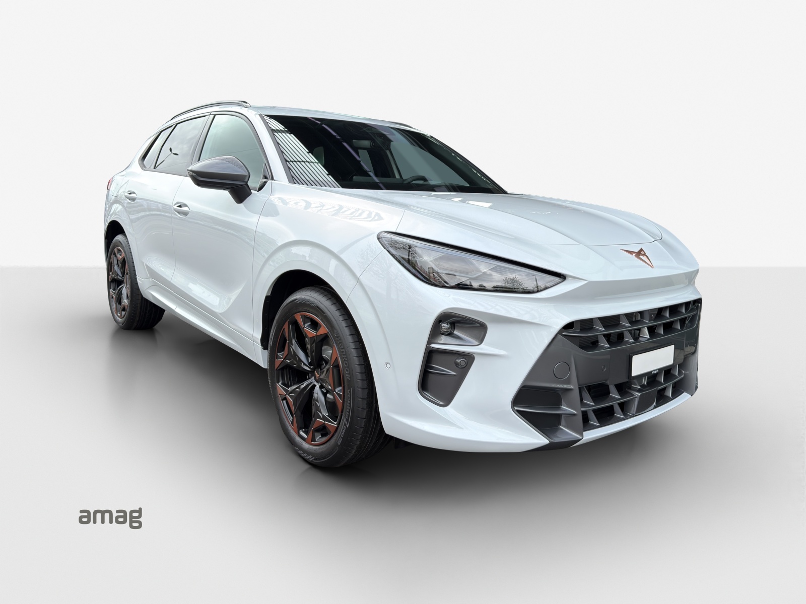 CUPRA Terramar 2.0 TSI DSG 4Drive-image-5