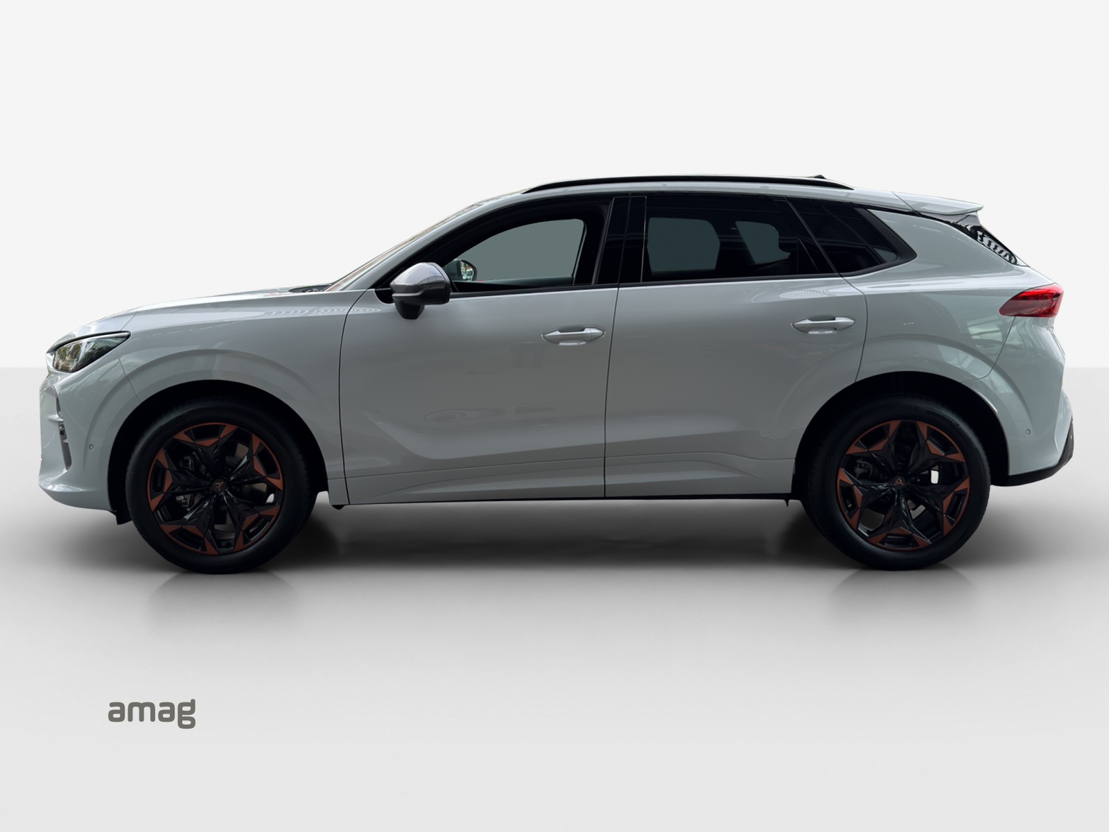 CUPRA Terramar 2.0 TSI DSG 4Drive-image-1