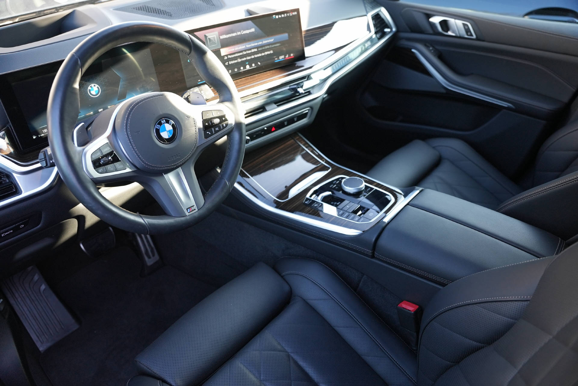 BMW X5 xDrive 48V 40d M Sport Pro Steptronic-image-6