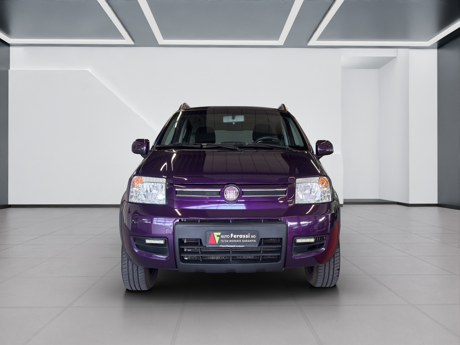 FIAT Panda 1.3 16V JTD Climbing 4x4-image-7