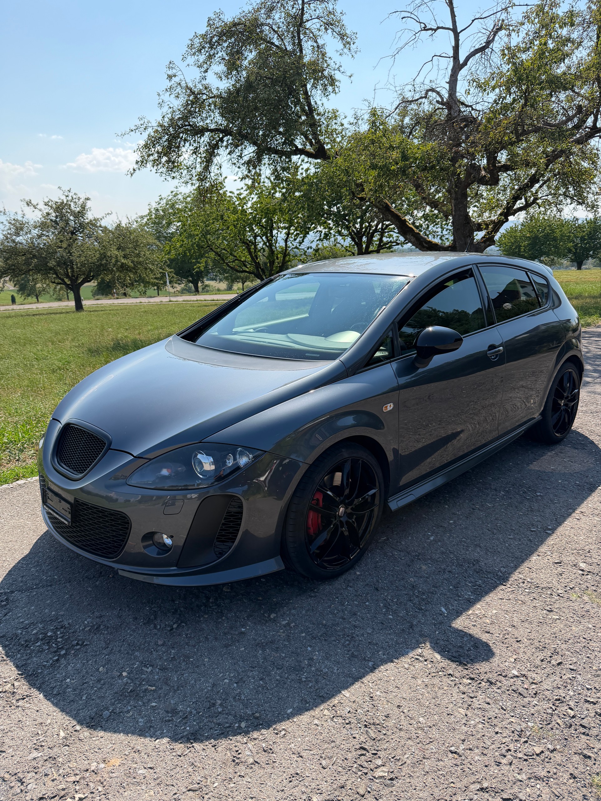 SEAT Leon 2.0 TSI Cupra R-image-0
