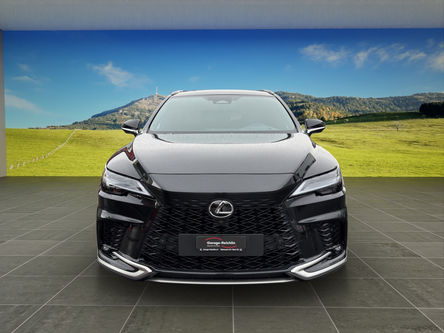 LEXUS RX 350h F-Line-image-7