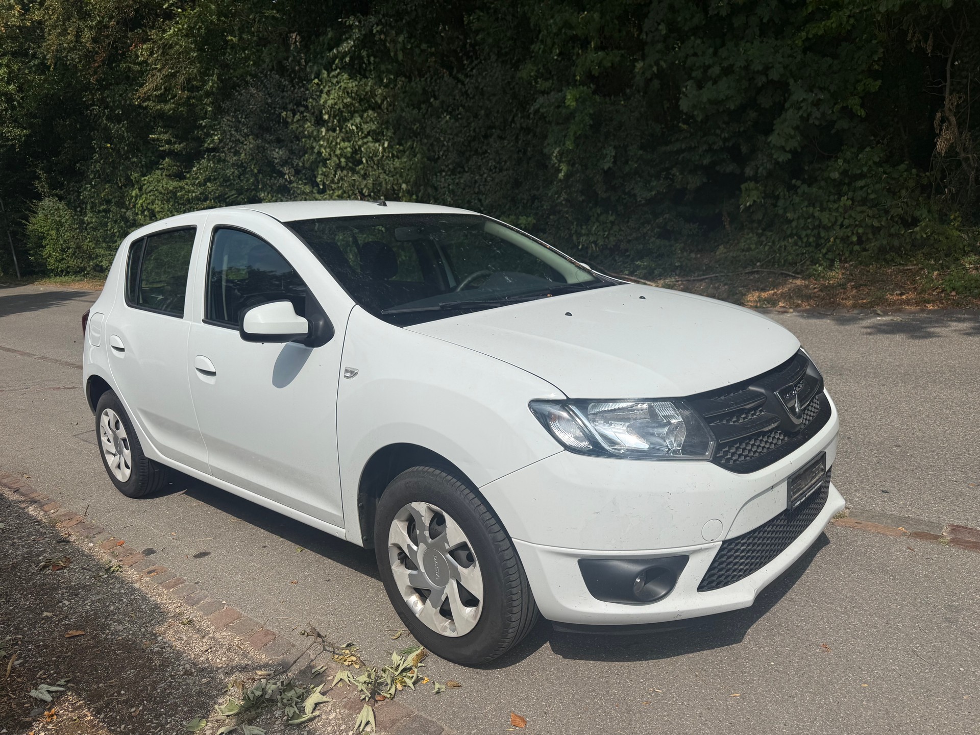 DACIA Sandero 1.2-image-1
