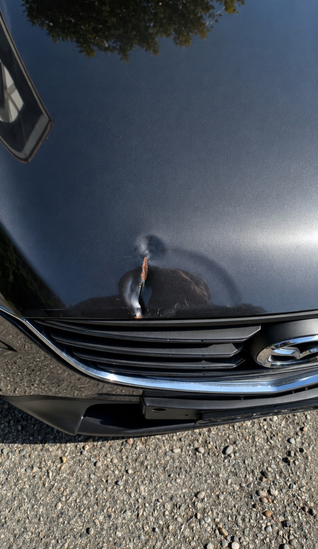 MAZDA CX5 Skyactiv-Drive AWD-image-4