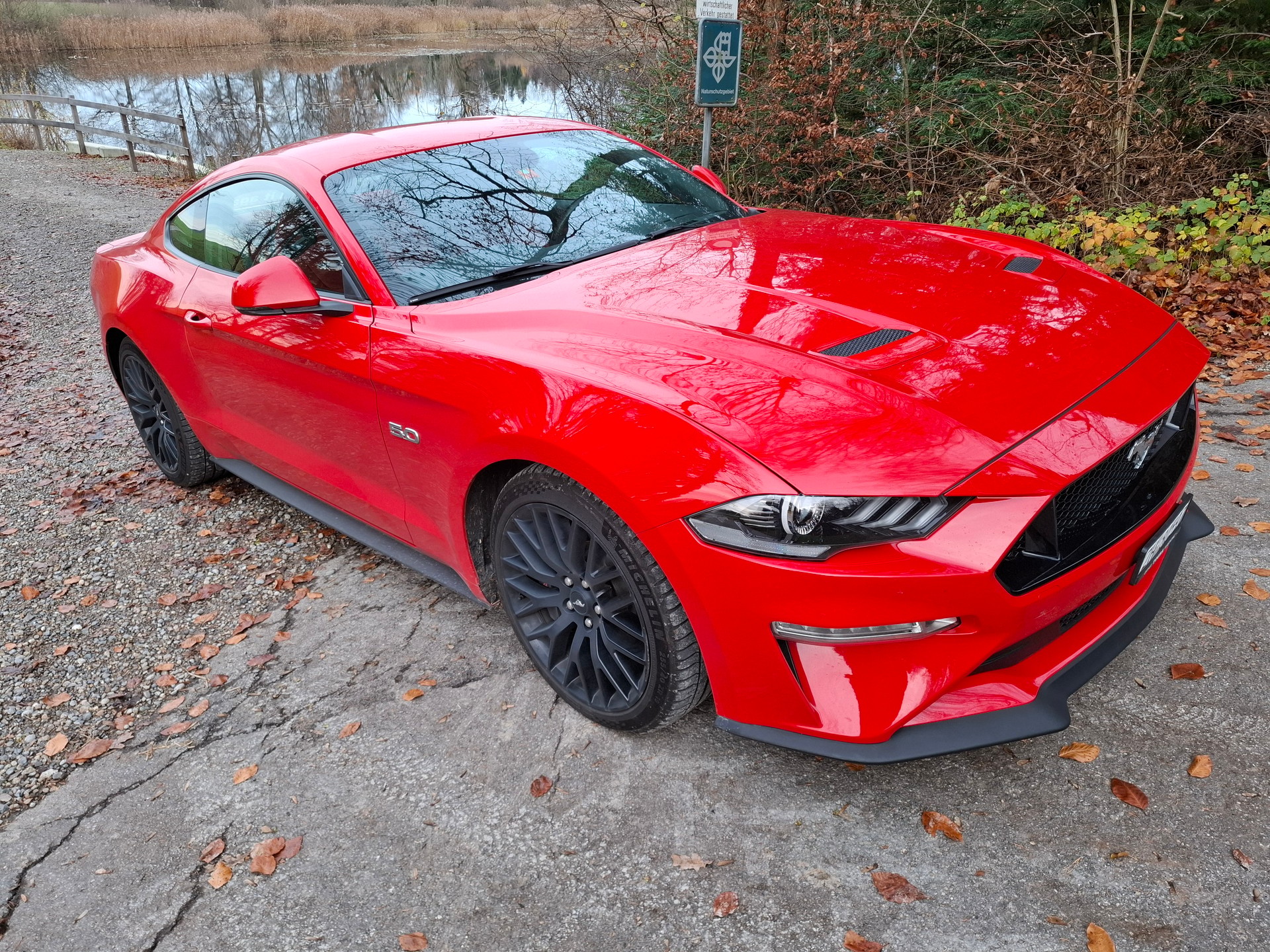 FORD 5.0 V8 GT-image-0