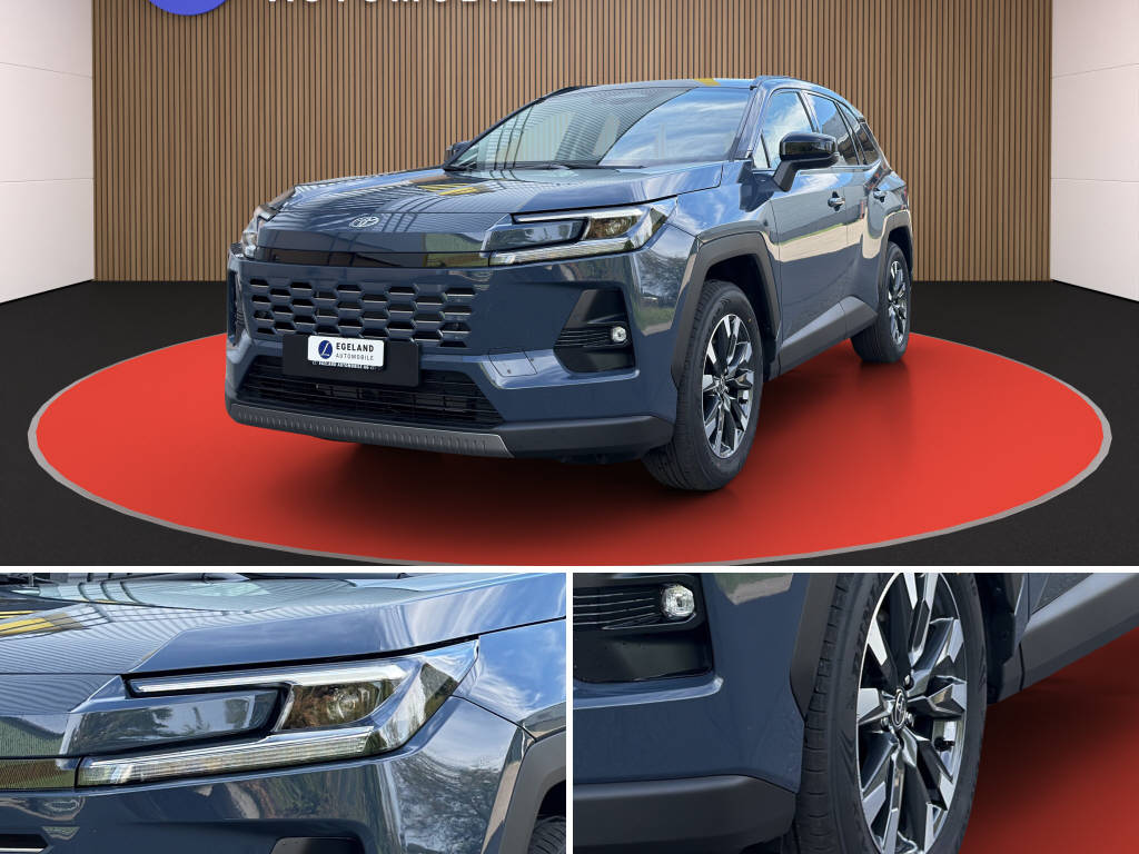 TOYOTA RAV-4 2.5 HEV Trend 4WD-image-8