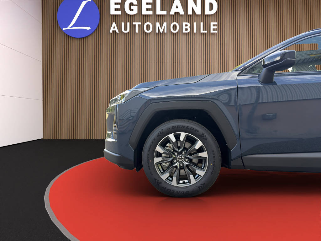 TOYOTA RAV-4 2.5 HEV Trend 4WD-image-9