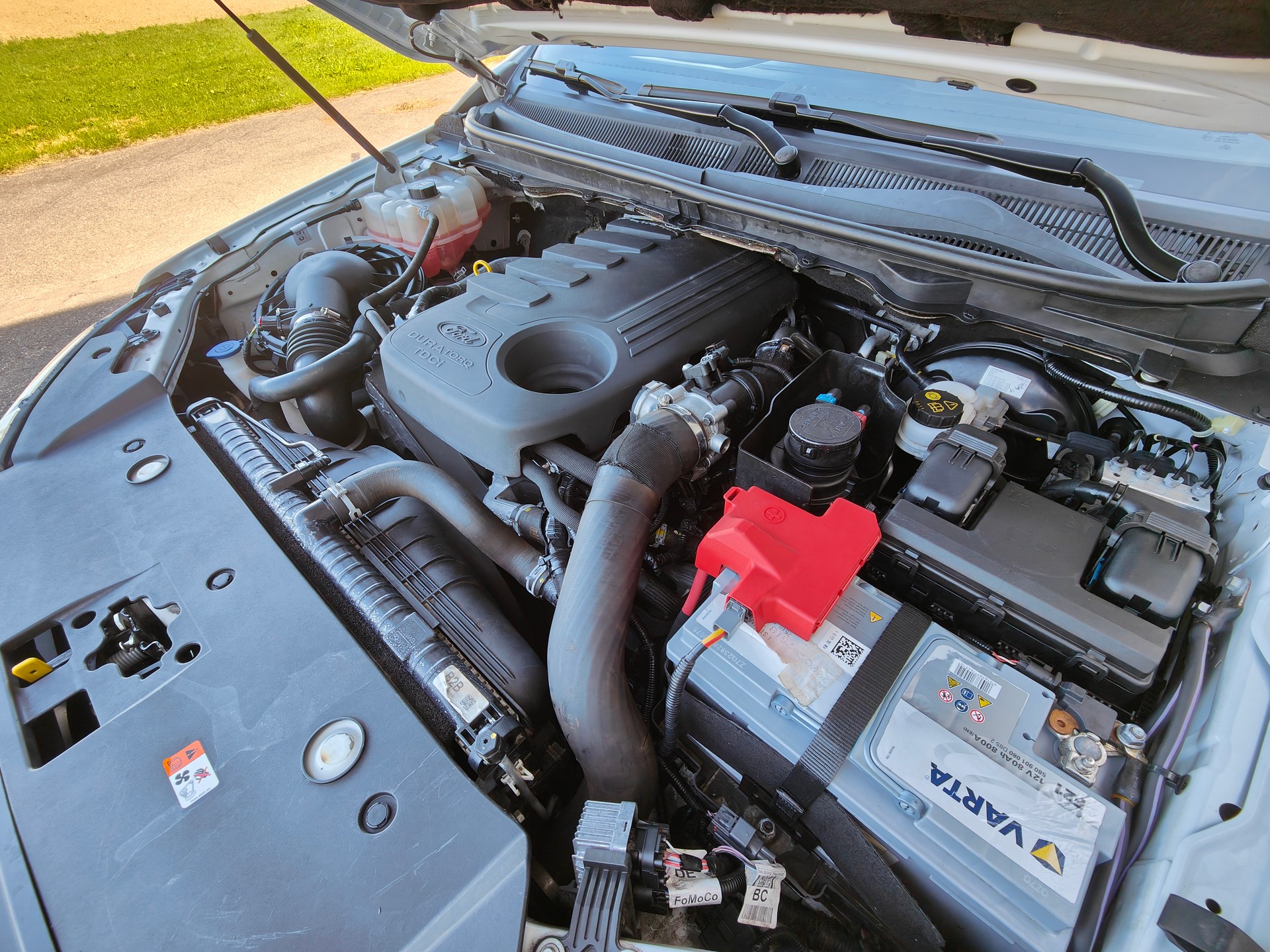 FORD 3.2 TDCi 4x4 Wildtrak-image-12