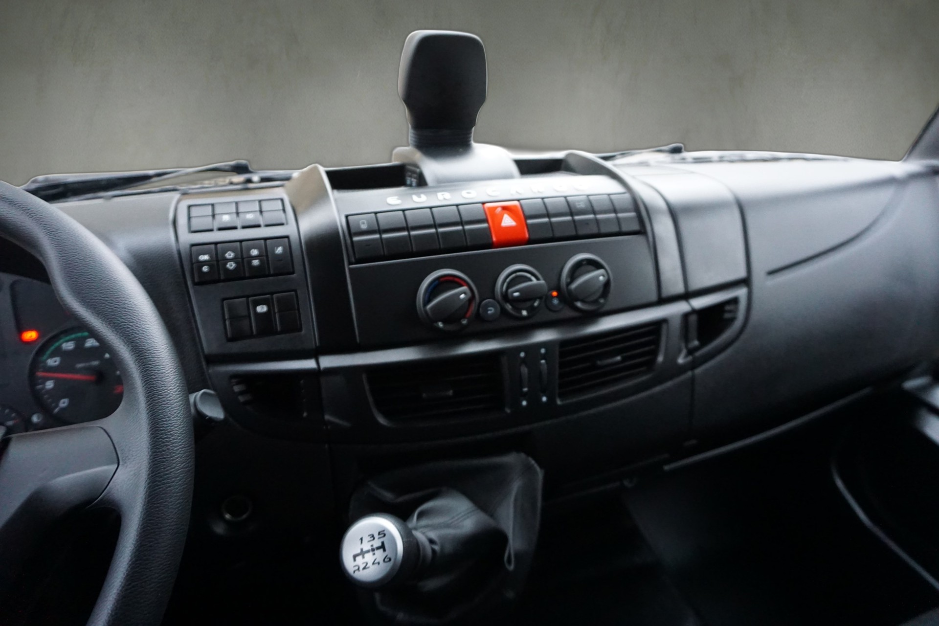 IVECO EUROCARGO 80-190 PFERDETRANSPORTER-image-8