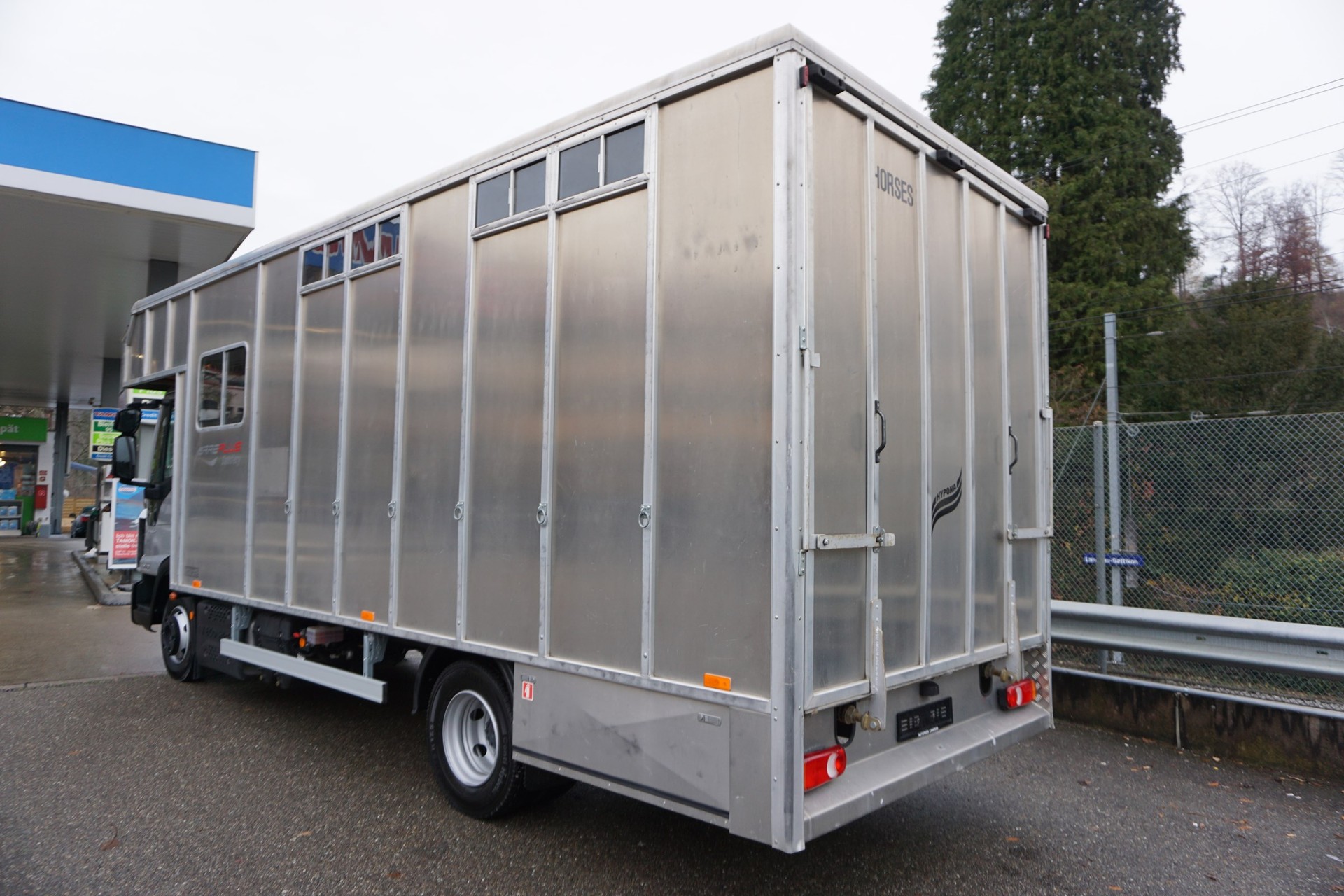 IVECO EUROCARGO 80-190 PFERDETRANSPORTER-image-4