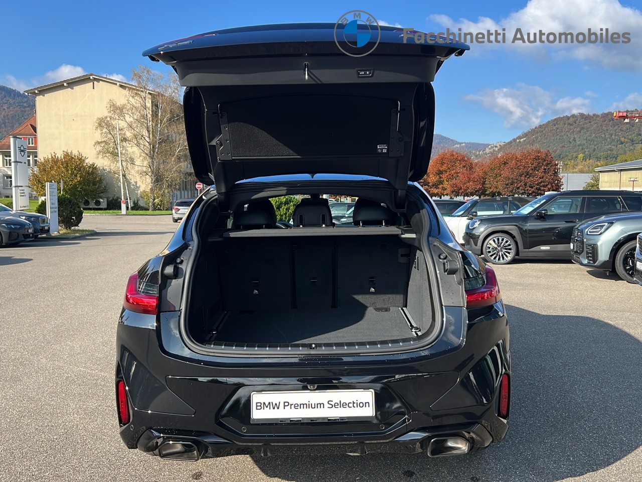 BMW X4 xDrive 48V 30d M Sport Steptronic-image-12