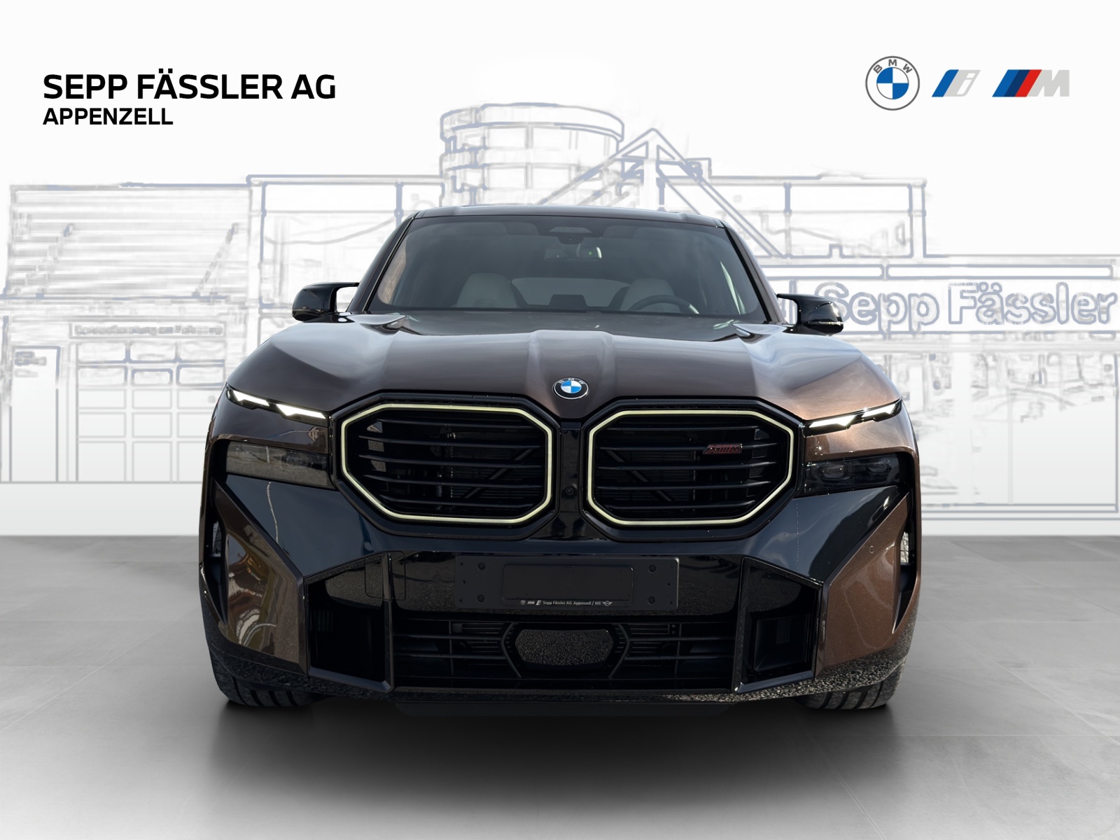 BMW XM xDrive Label-image-7