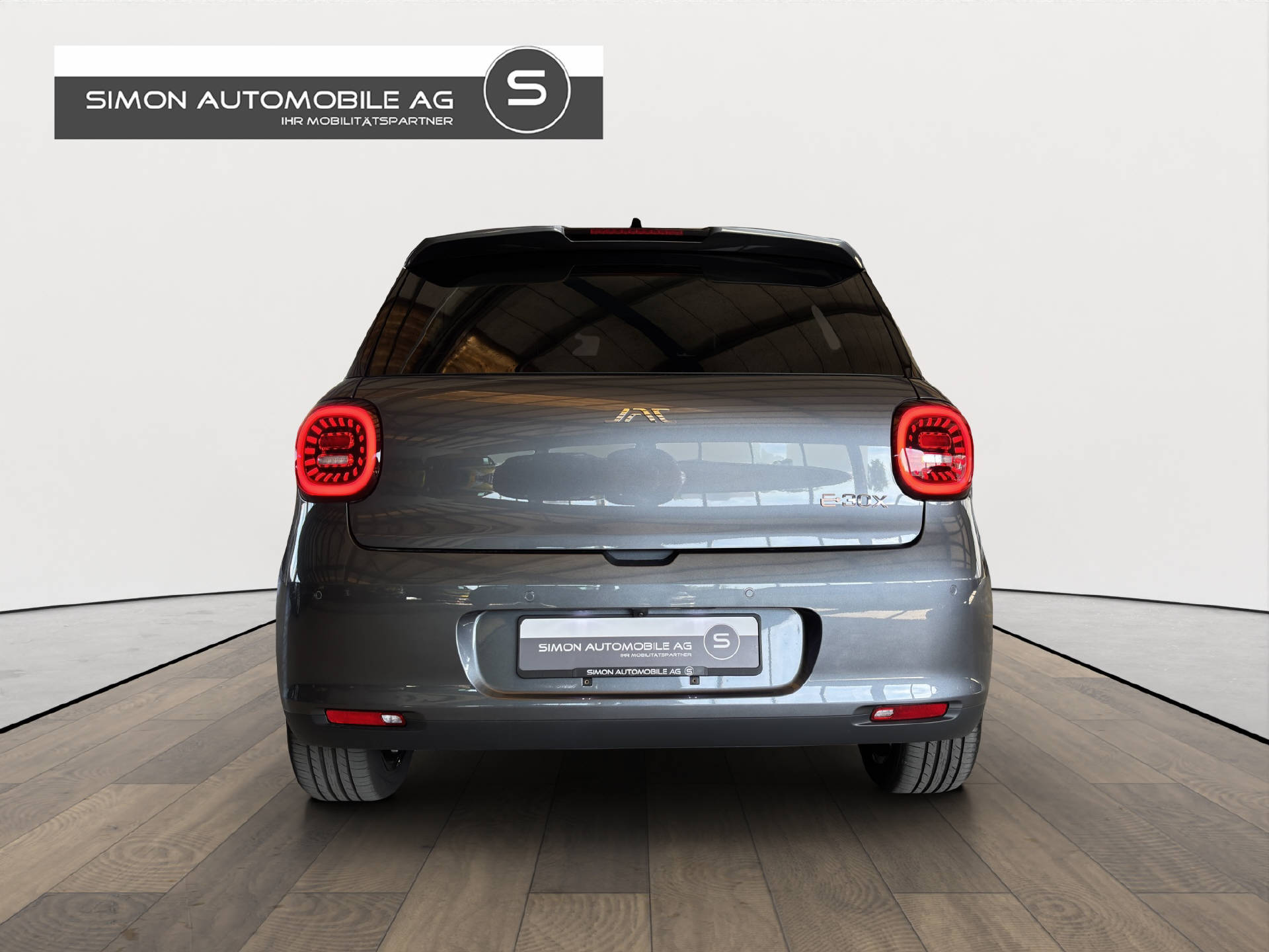 JAC E30X Electric-image-4
