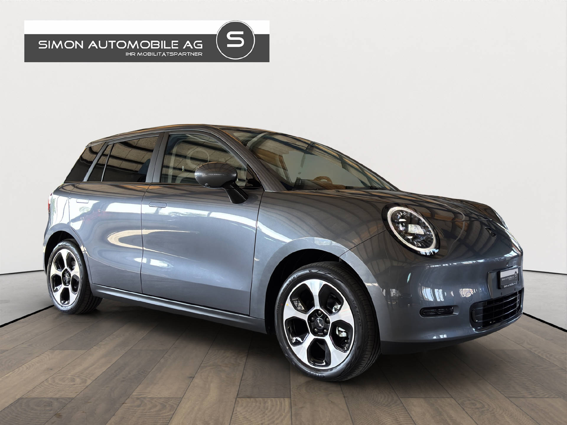 JAC E30X Electric-image-7