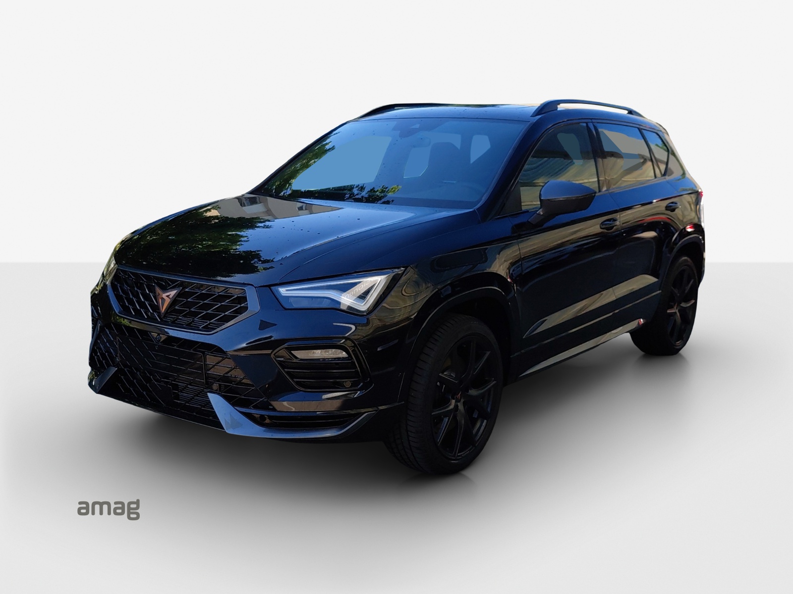 CUPRA CUPRA ATECA 300 PS 4DRIVE-image-0