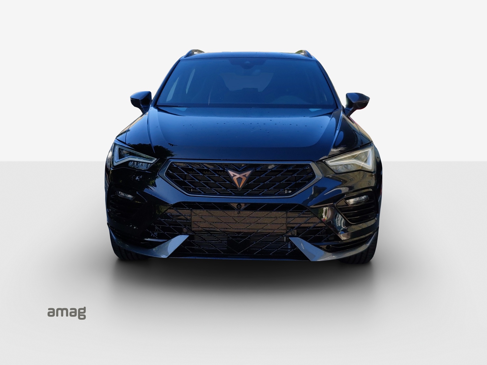 CUPRA CUPRA ATECA 300 PS 4DRIVE-image-6
