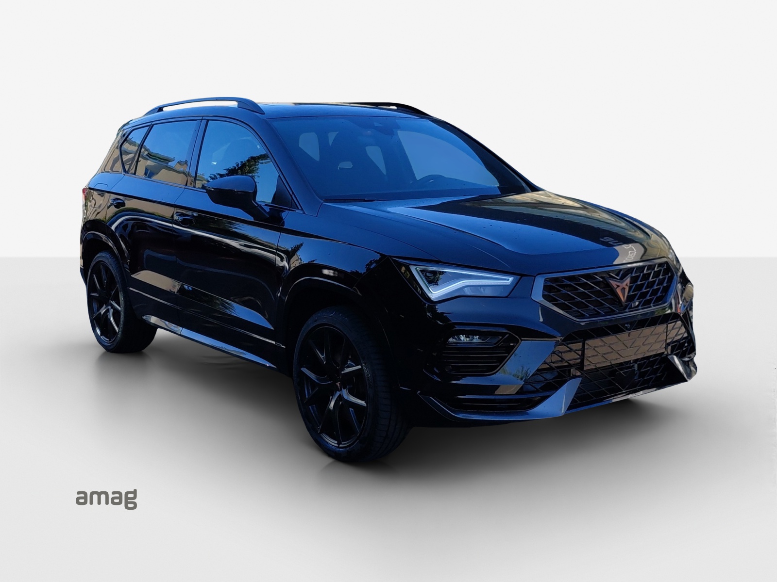 CUPRA CUPRA ATECA 300 PS 4DRIVE-image-5