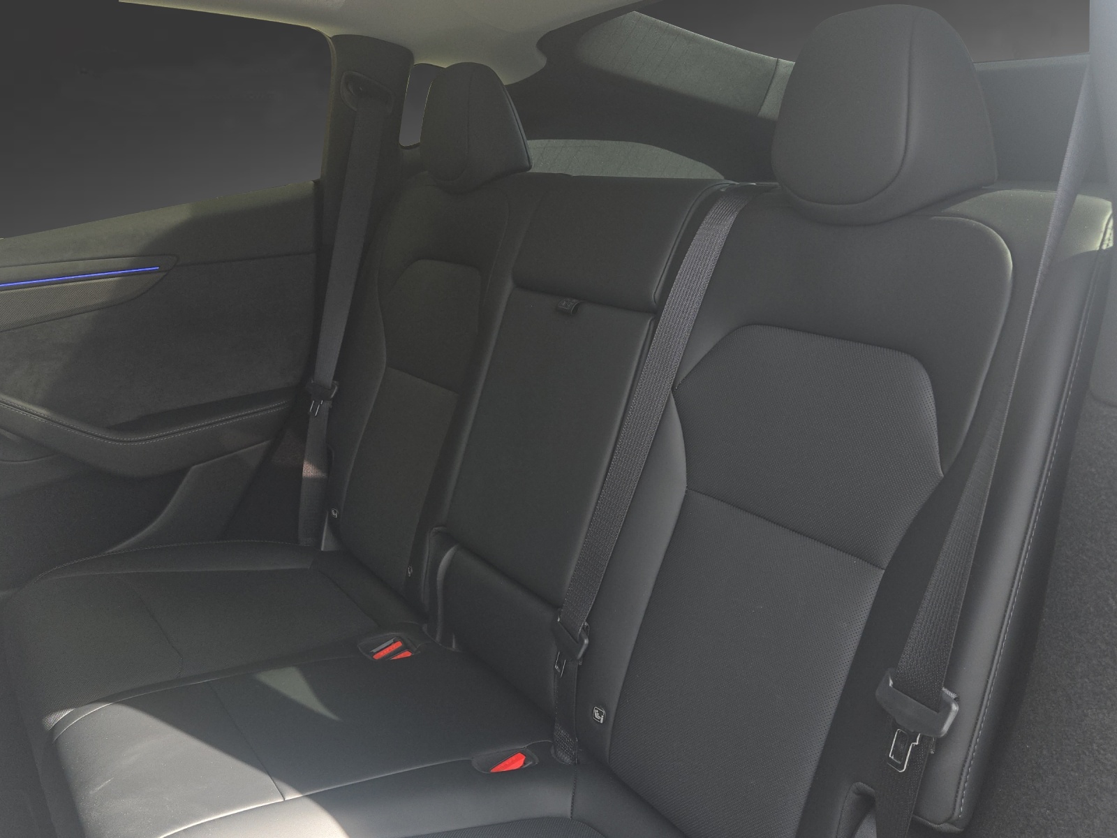 TESLA Model Y Performance-image-6