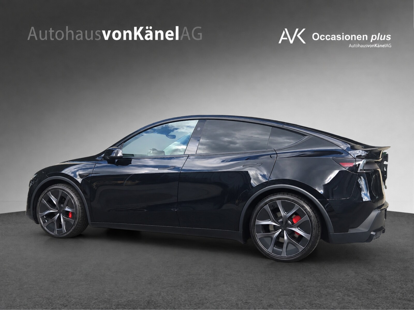 TESLA Model Y Performance-image-2