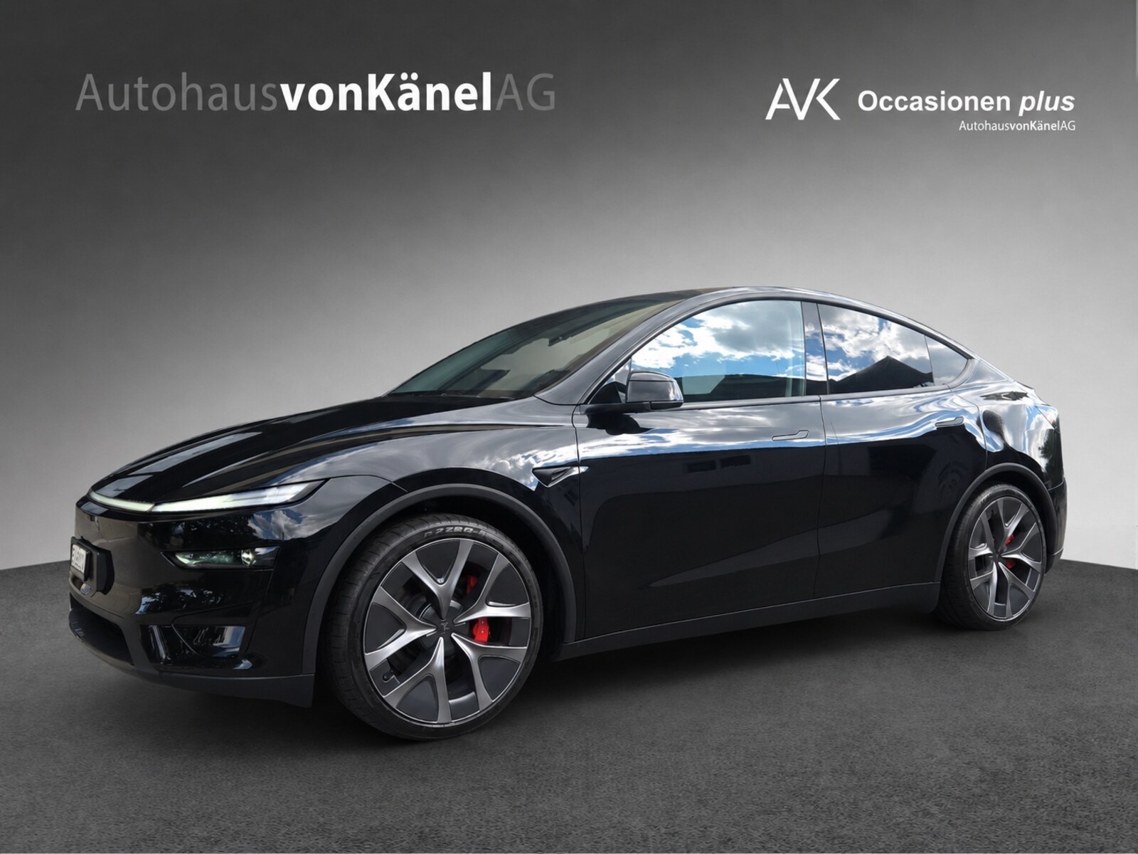 TESLA Model Y Performance-image-0