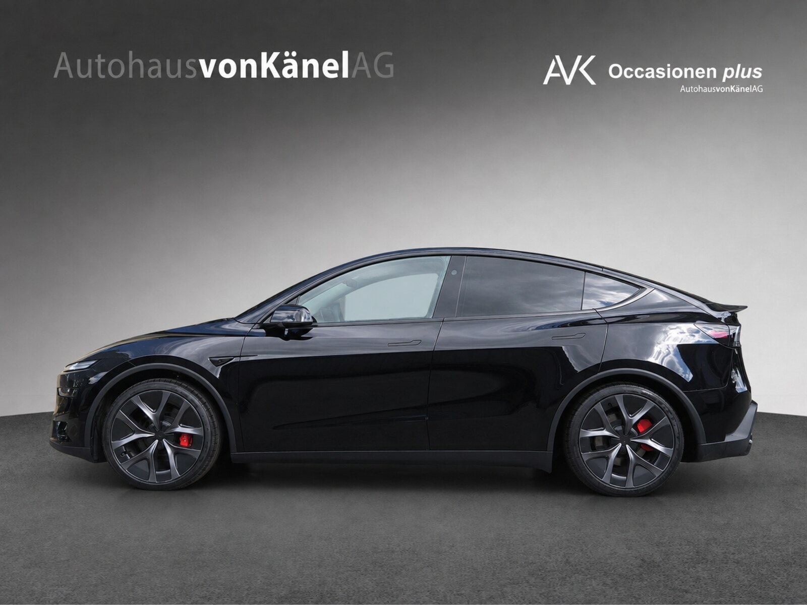 TESLA Model Y Performance-image-1