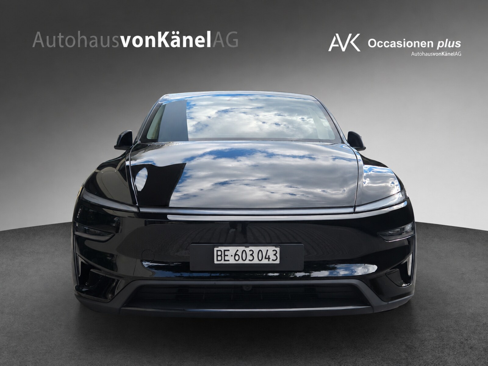 TESLA Model Y Performance-image-3