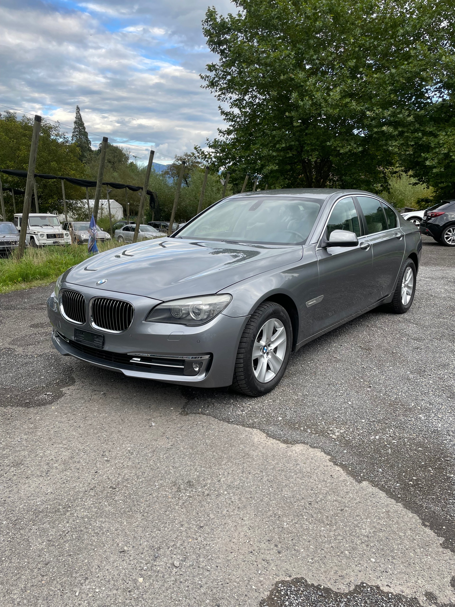BMW 730d-image-1