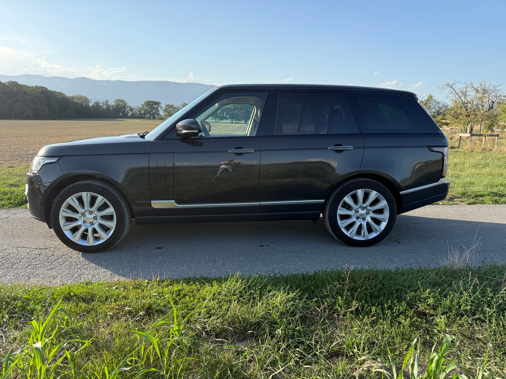 LAND ROVER Range Rover 4.4 SDV8 Autobiography Automatic-image-5