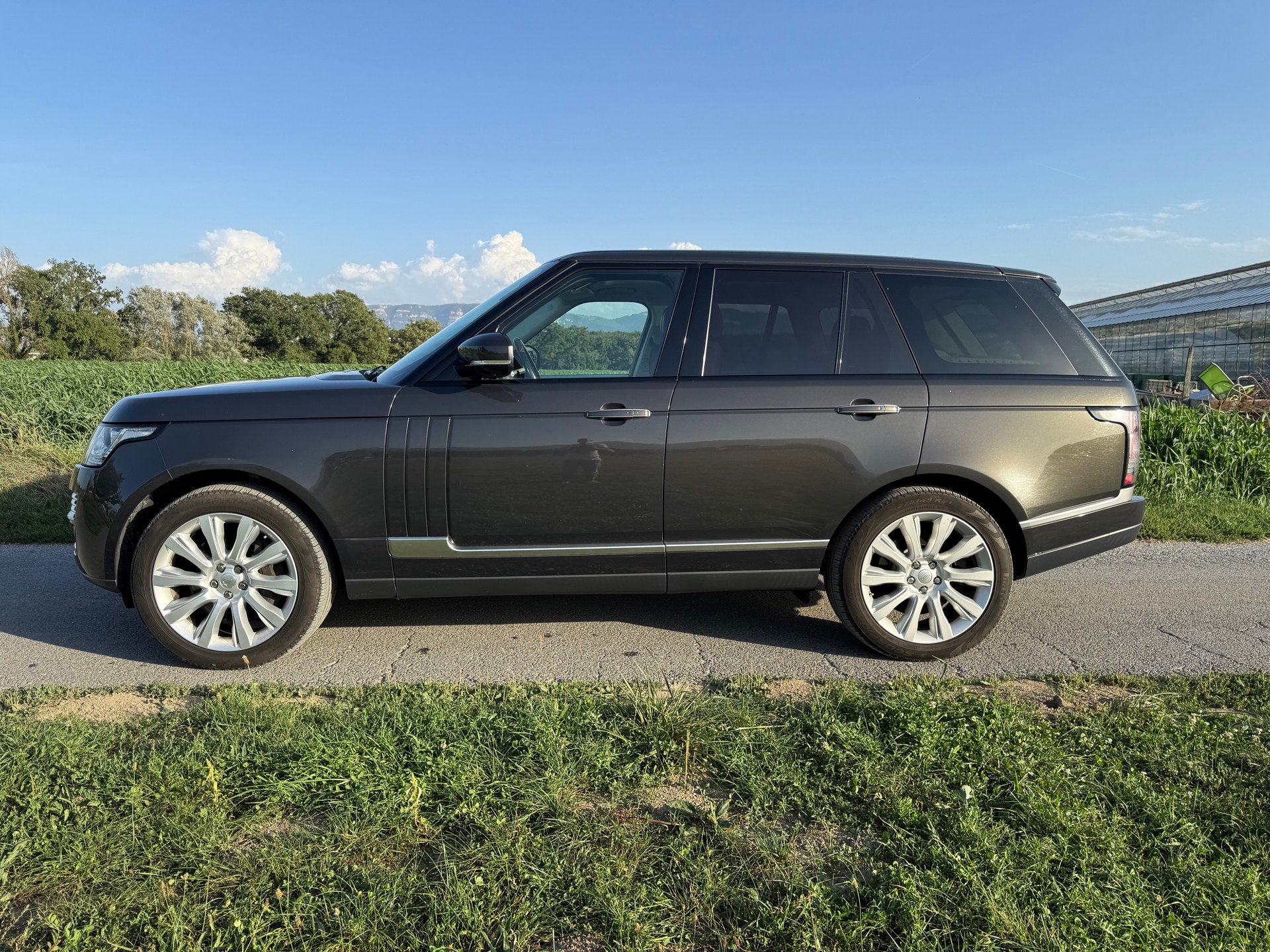 LAND ROVER Range Rover 4.4 SDV8 Autobiography Automatic-image-6