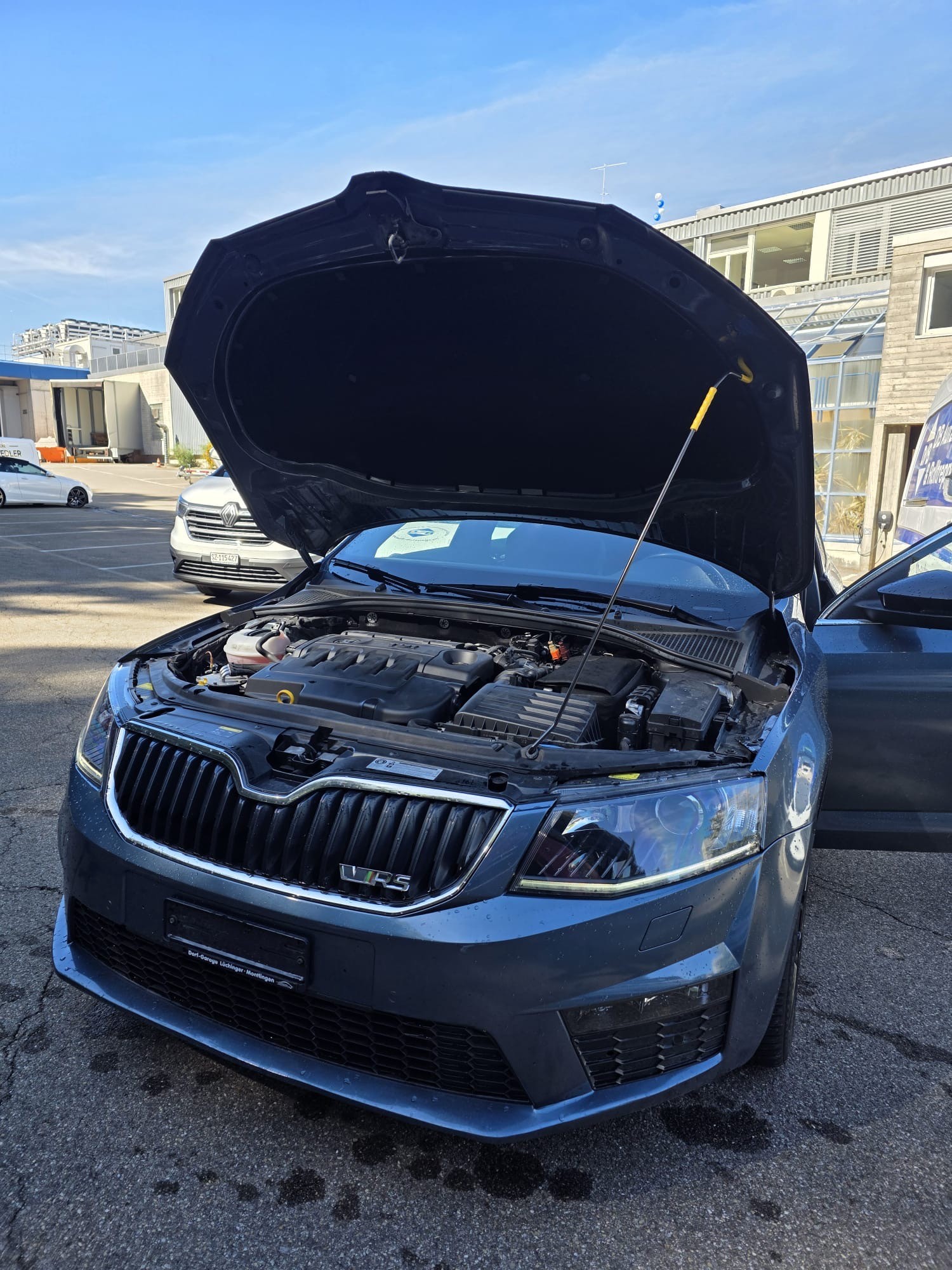 SKODA RS-image-3