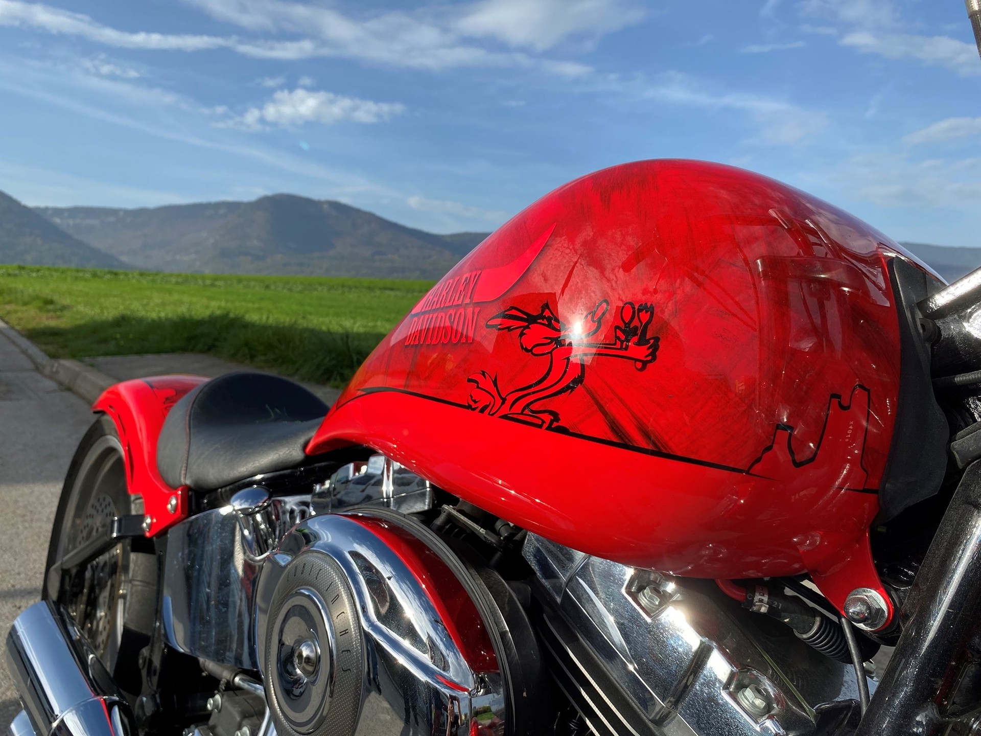 HARLEY-DAVIDSON FXSTCI Softail Custom-image-7