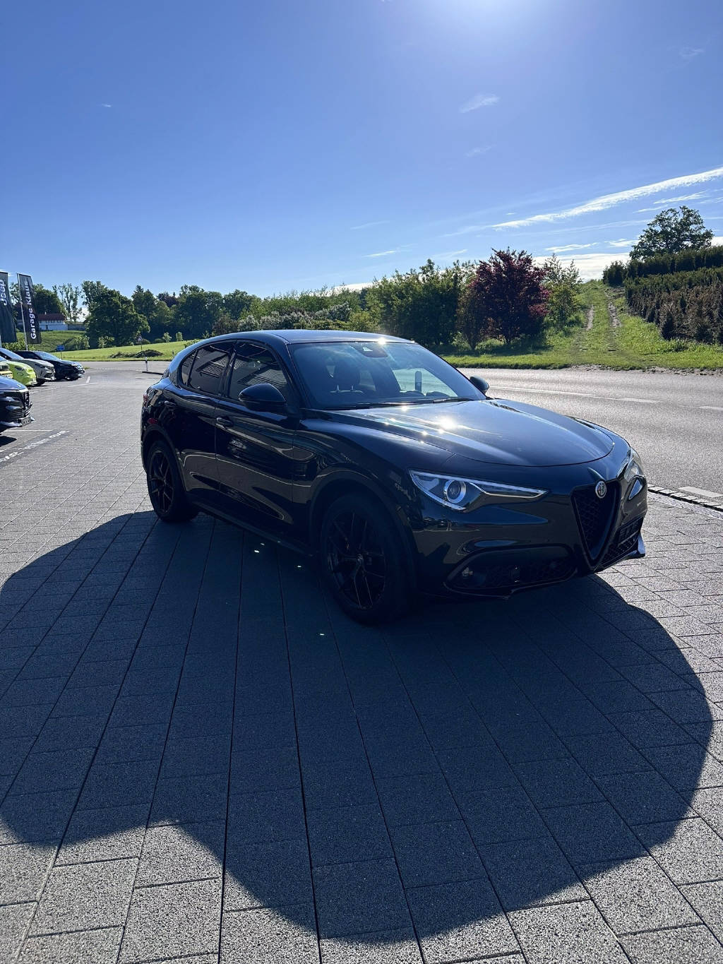 ALFA ROMEO Stelvio 2.2 D Q4 190 Sprint-image-3