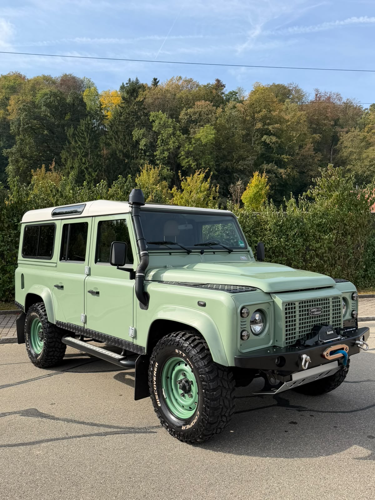 LAND ROVER Defender 110 2.2 TD4 Station Wagon Heritage-image-6