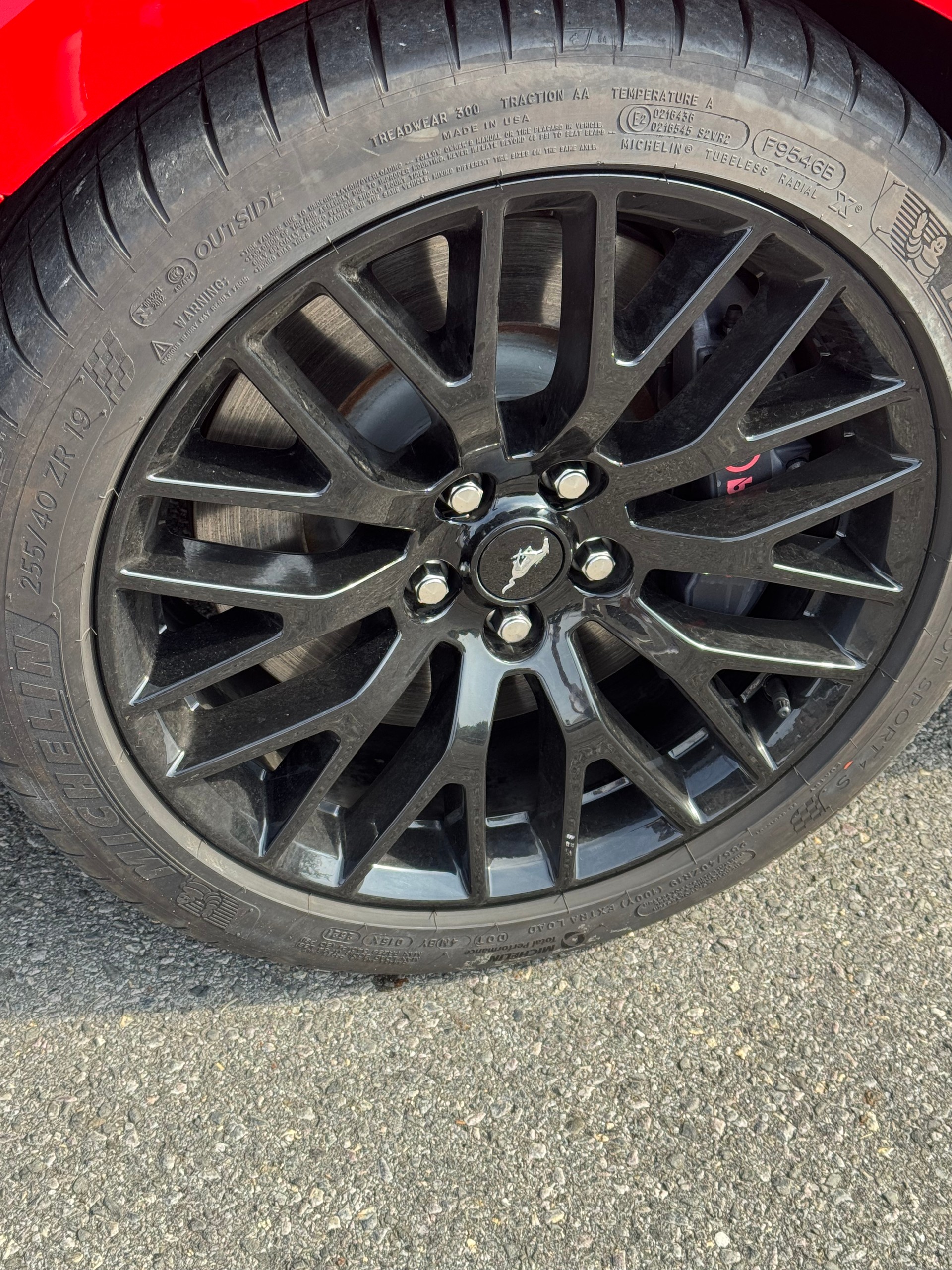 FORD 5.0 V8 GT-image-6