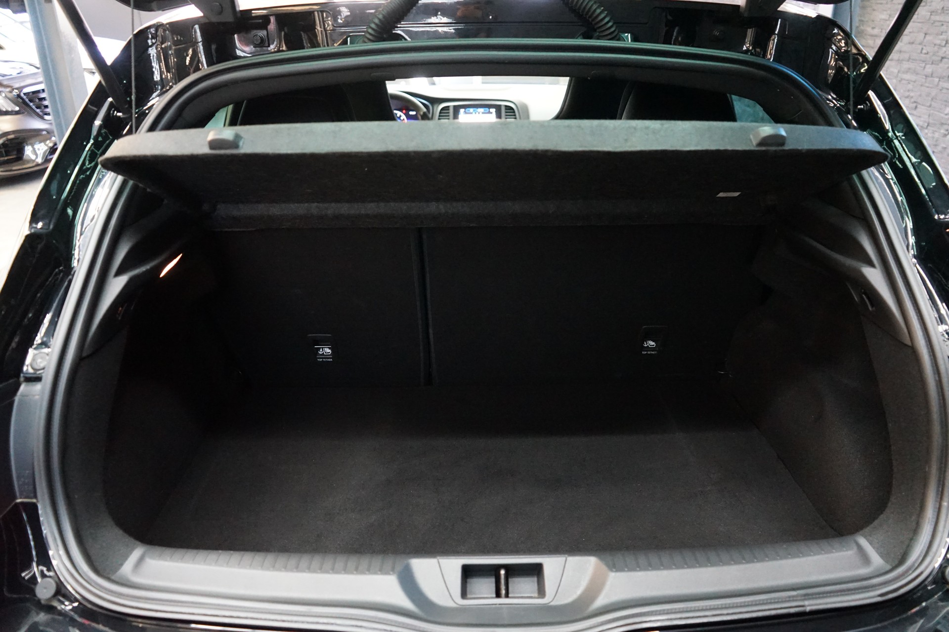 RENAULT Mégane R.S. 300 EDC-image-22
