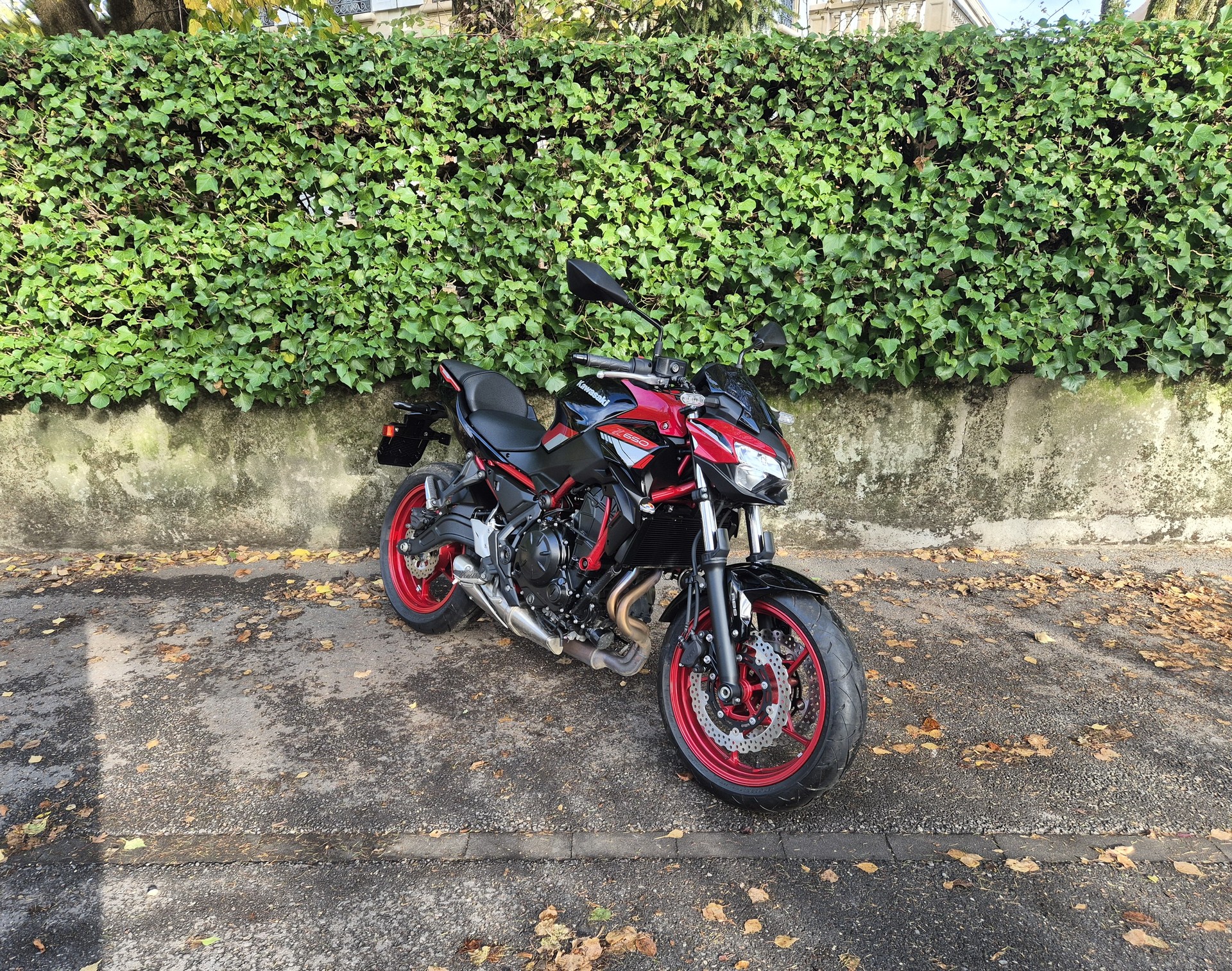 KAWASAKI Z 650-image-4