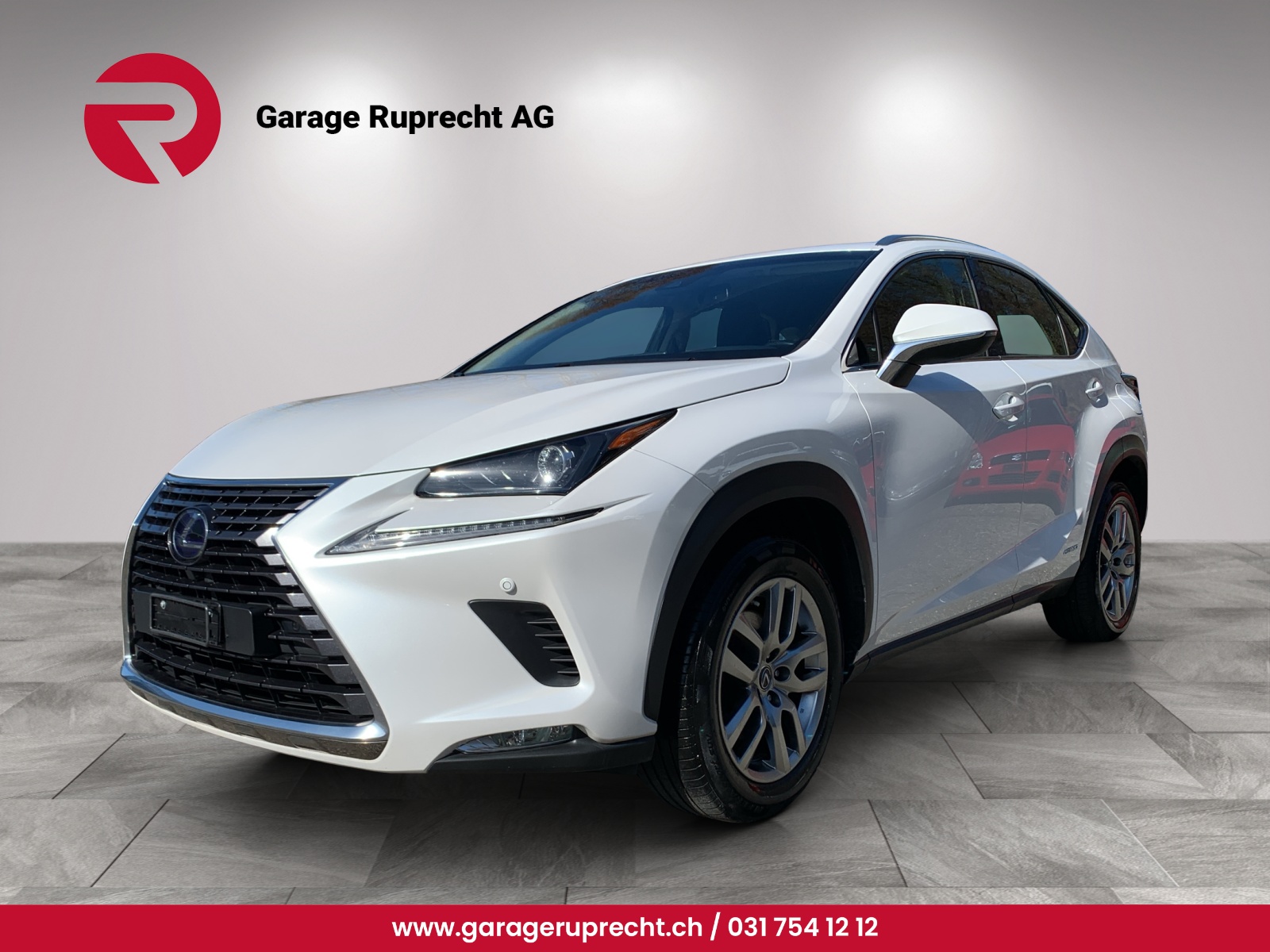 LEXUS Lexus NX 300H-image-0
