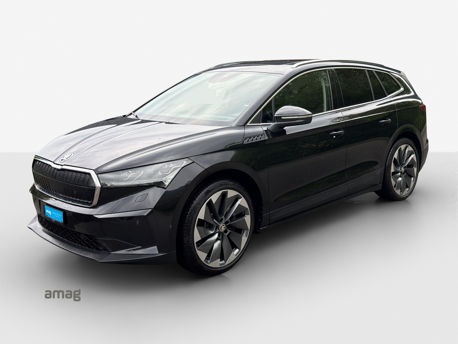 SKODA Enyaq iV 80x-image-0