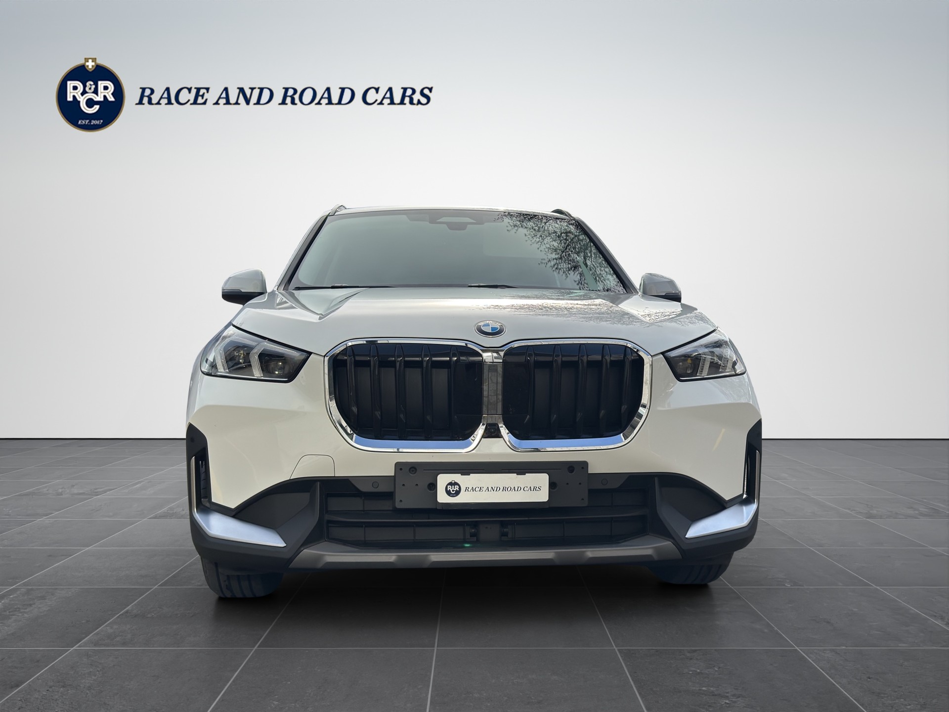 BMW X1 20d xDrive-image-1