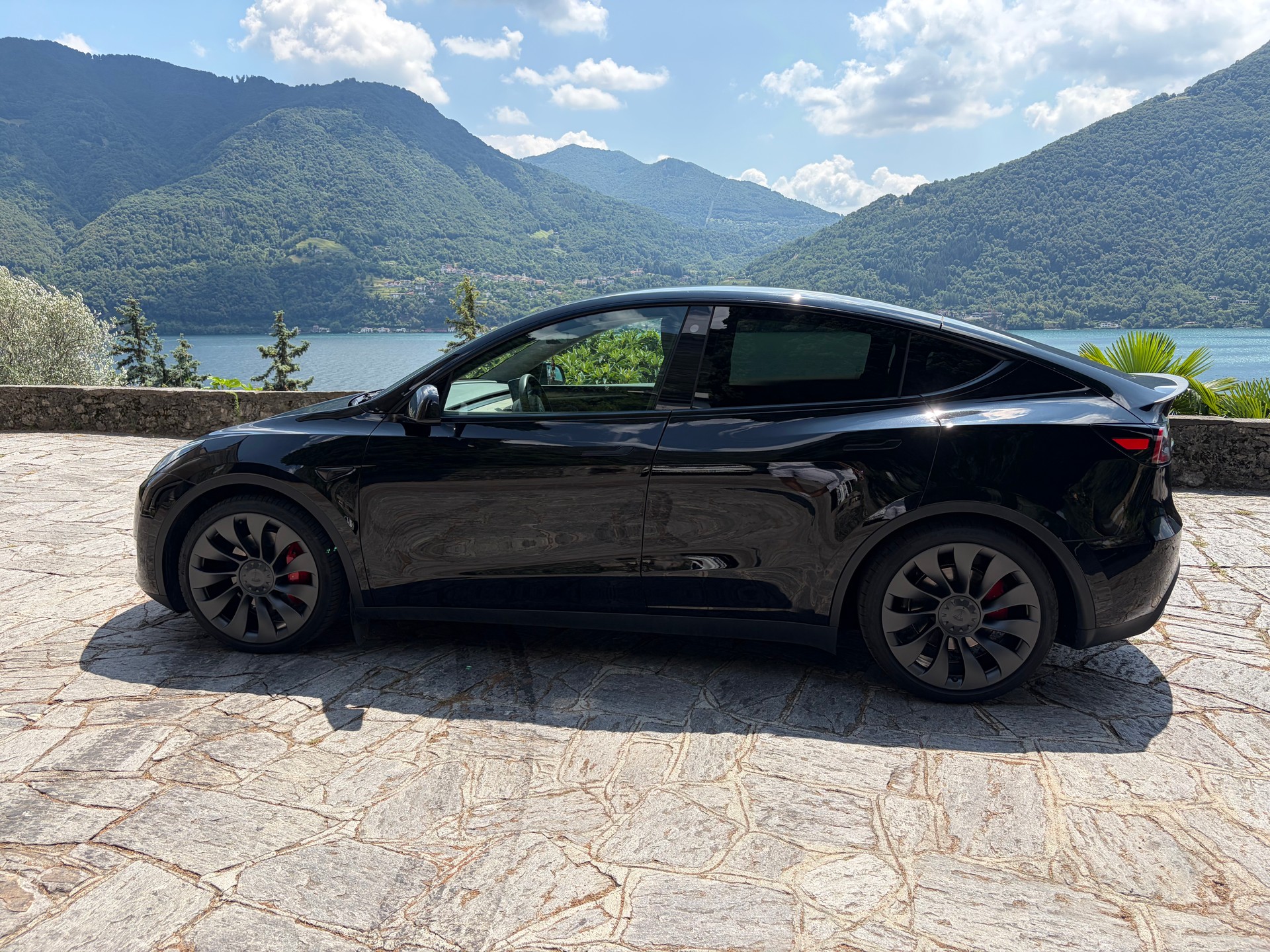 TESLA Performance D-image-5