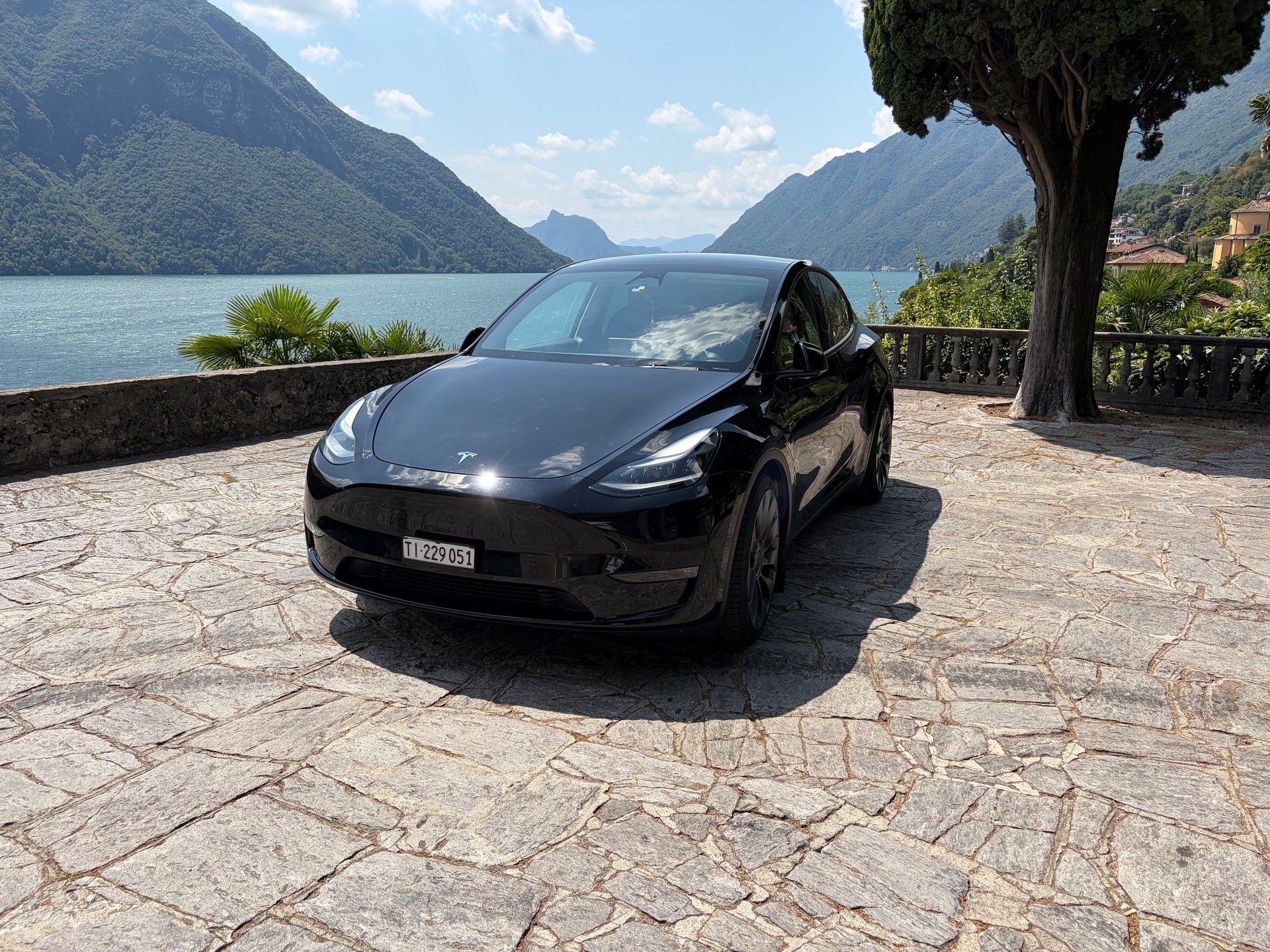 TESLA Performance D-image-1