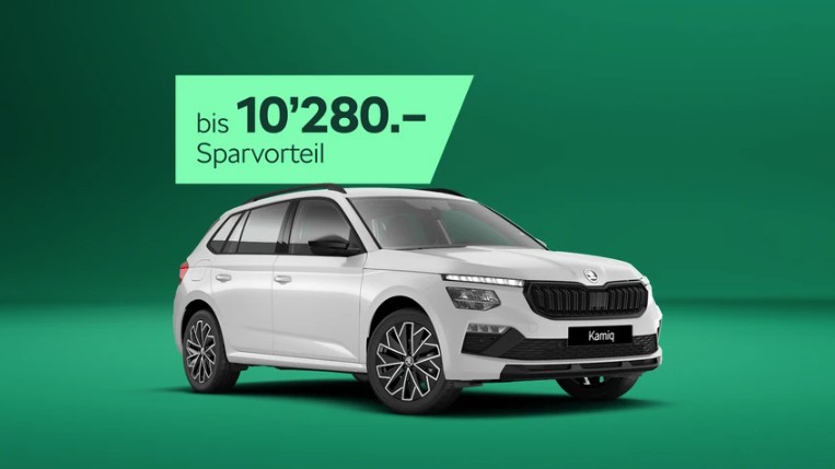 SKODA Kamiq 1.0 TSI Dynamic DSG-image-19